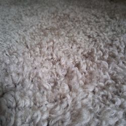 Thick Plush Area Rug 9.5 X 7. 6 