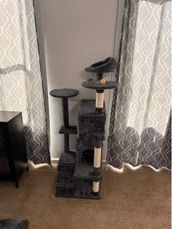 Cat Tree and Other Accessories
