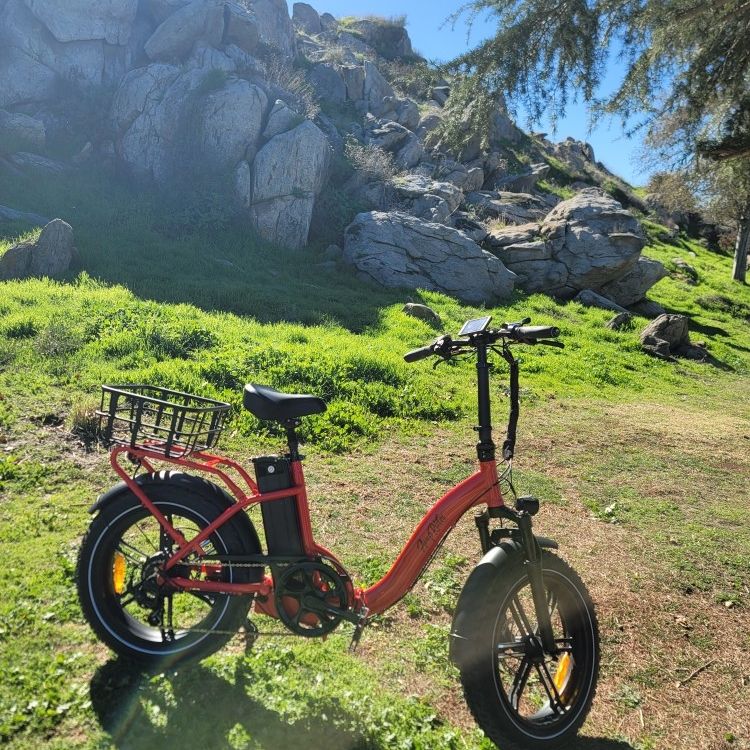 Ebike Folding