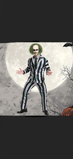 Brand new beetlejuice costume with wig 2XL Rainbow/charleston Cash Only