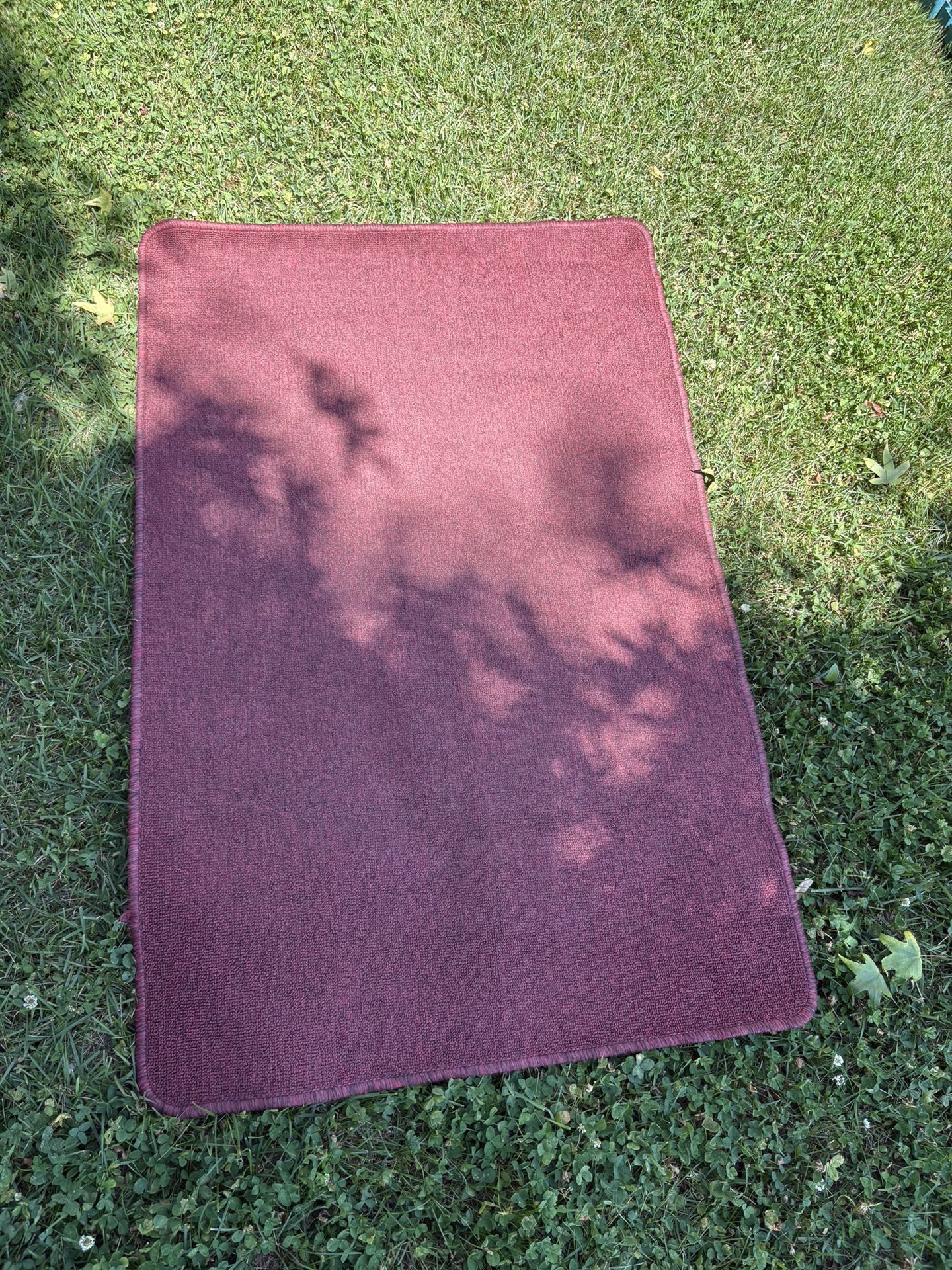 Outdoor / Indoor Rug 30” X 44”