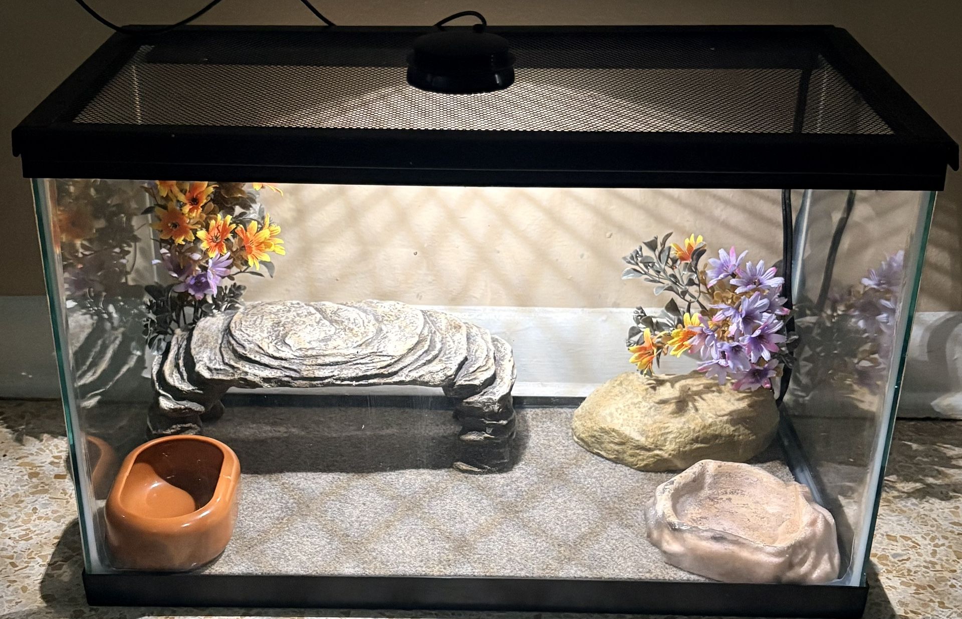 Ten Gallon Reptile Tank