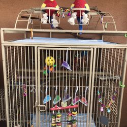 Bird Cage