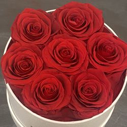 Eternity Real Preserved Red Roses