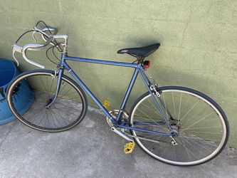Fixie Bike