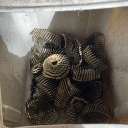 Roofing Nails 