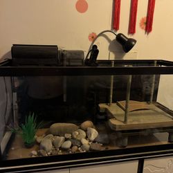 30 Gallon Fish Tank 
