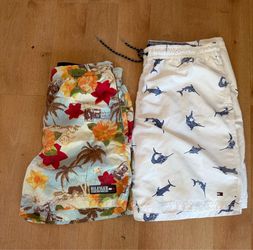 2- MEN SWIMWEARE TRANKS