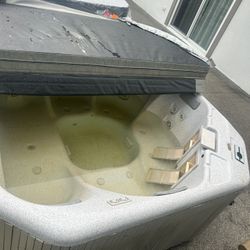 Jacuzzi Hot Tub 