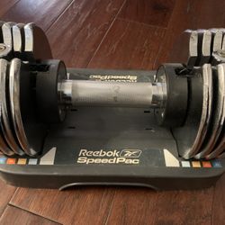 Adjustable Dumbbell Pair 25 Lbs