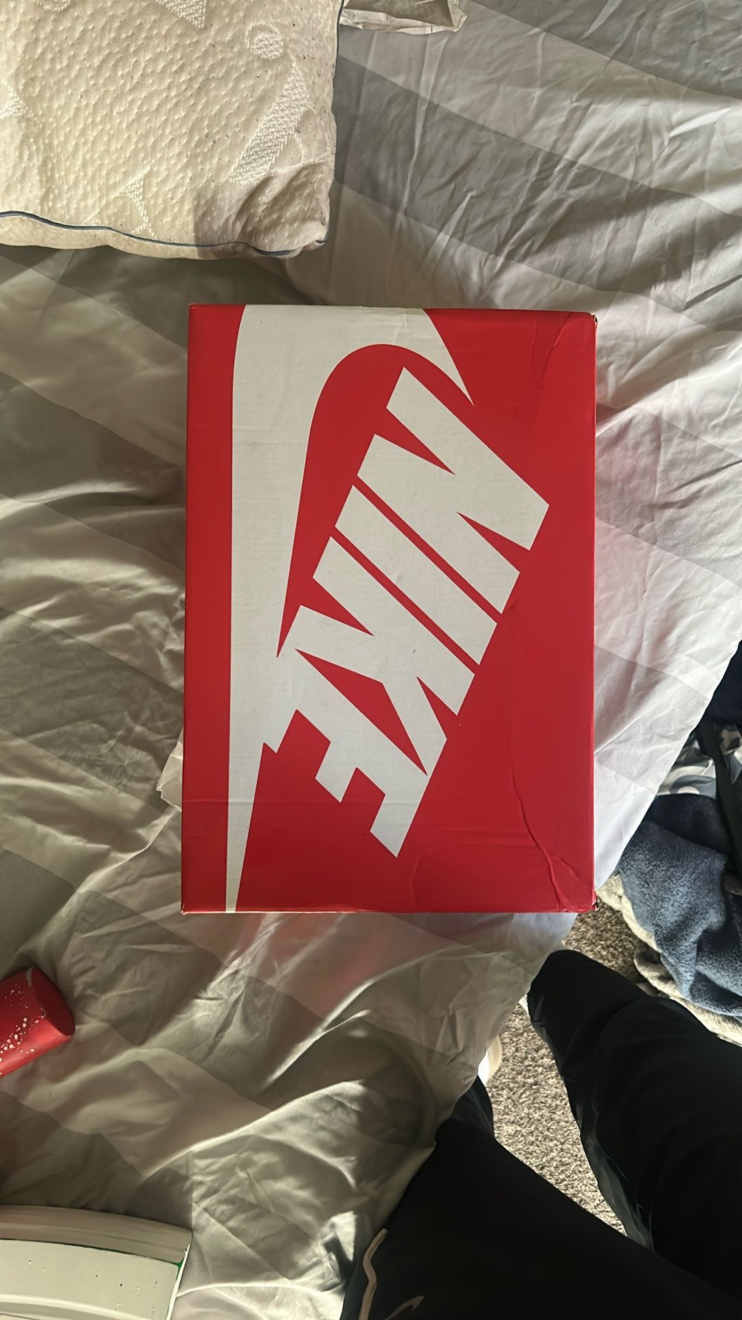 brand new panda dunks