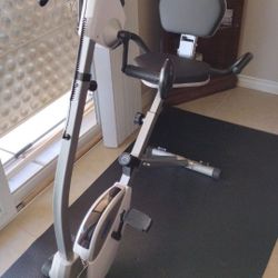 Stamina Recumbent Exercise Bike with Arm Workout