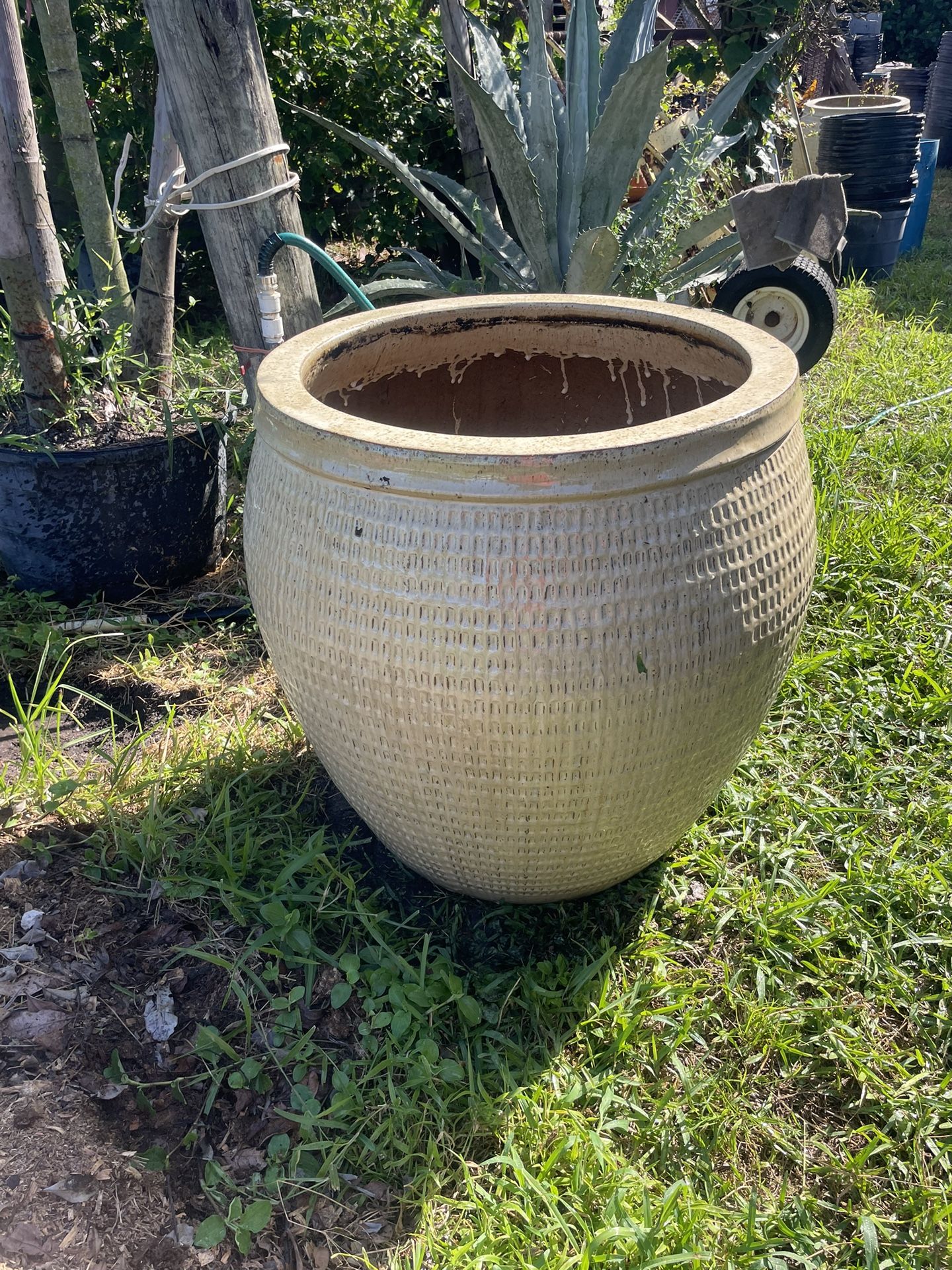 Large Ceramic Pot