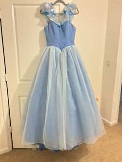Cinderella Inspired Ball Gown 