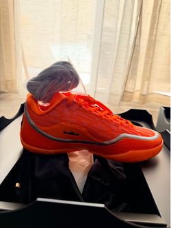 Nike LeBron J XXIII FX (Deluxe collector’s edition)