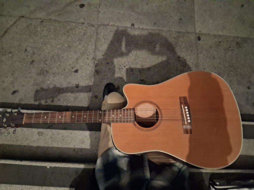 Ivanya's artwood electric acoustic guitar