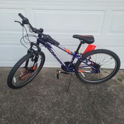 Schwinn Ranger 24" Kids' Mountain Bike