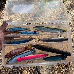 Poppers And Stick Bait