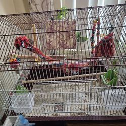 Pet Items ❤️ Different Prices