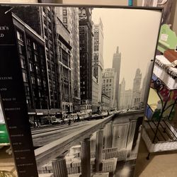 Rare Framed Scott Mutter Print Circa 1980)