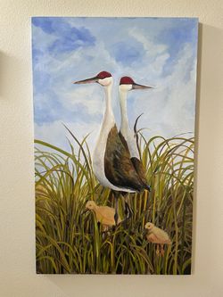 Sandhill Cranes Original Oil Painting On Canvas Measuring 30” X 48”
