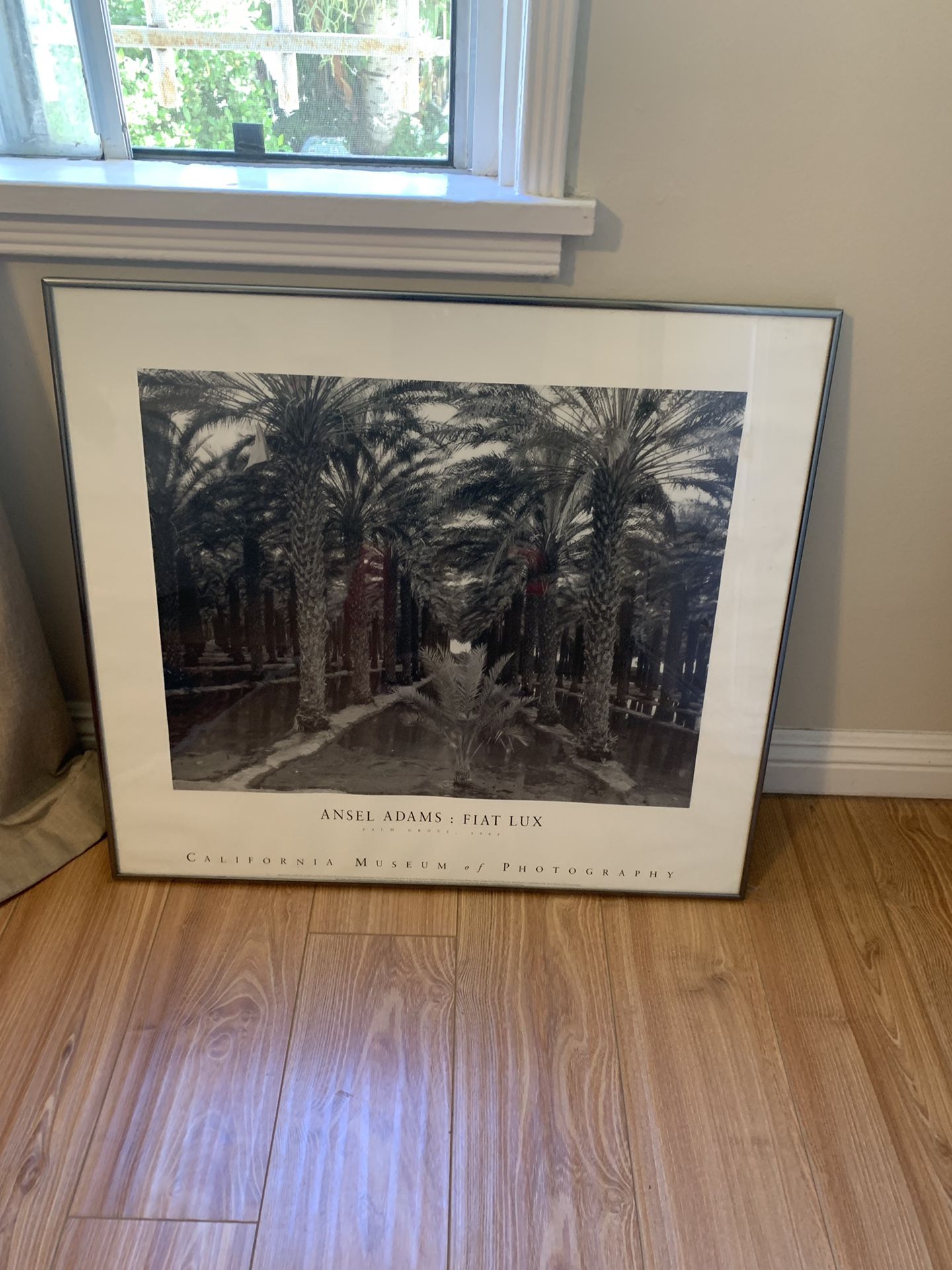 Ansel Adams framed art!