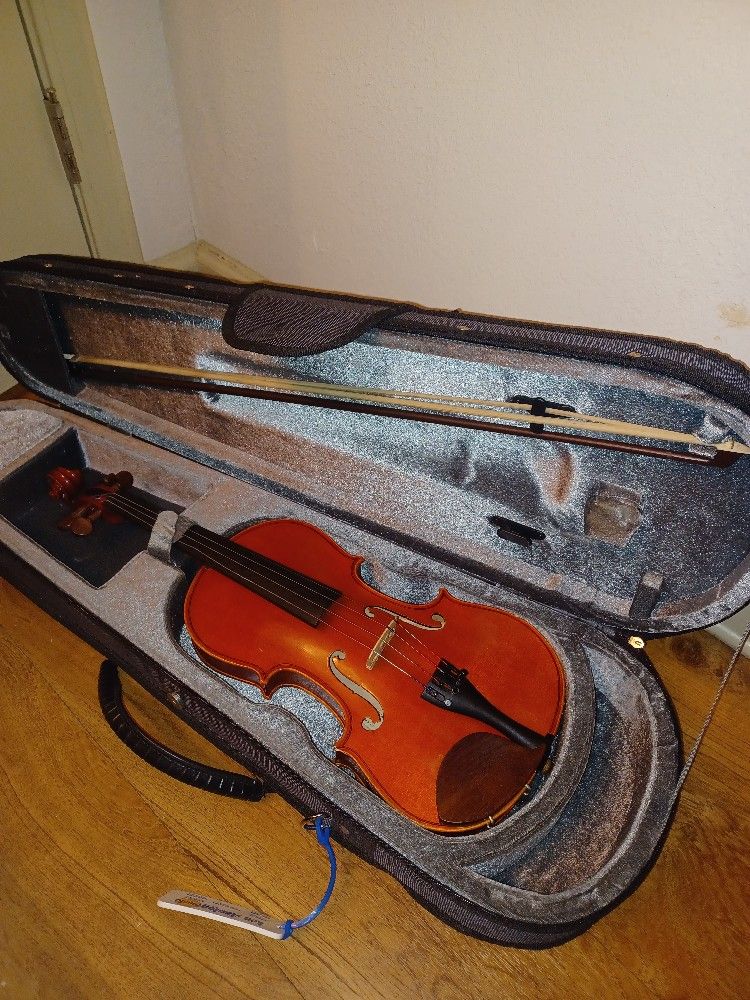 Violin