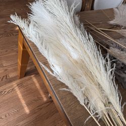 Pampas Grass Decor