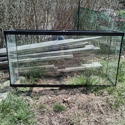 Fish Tank