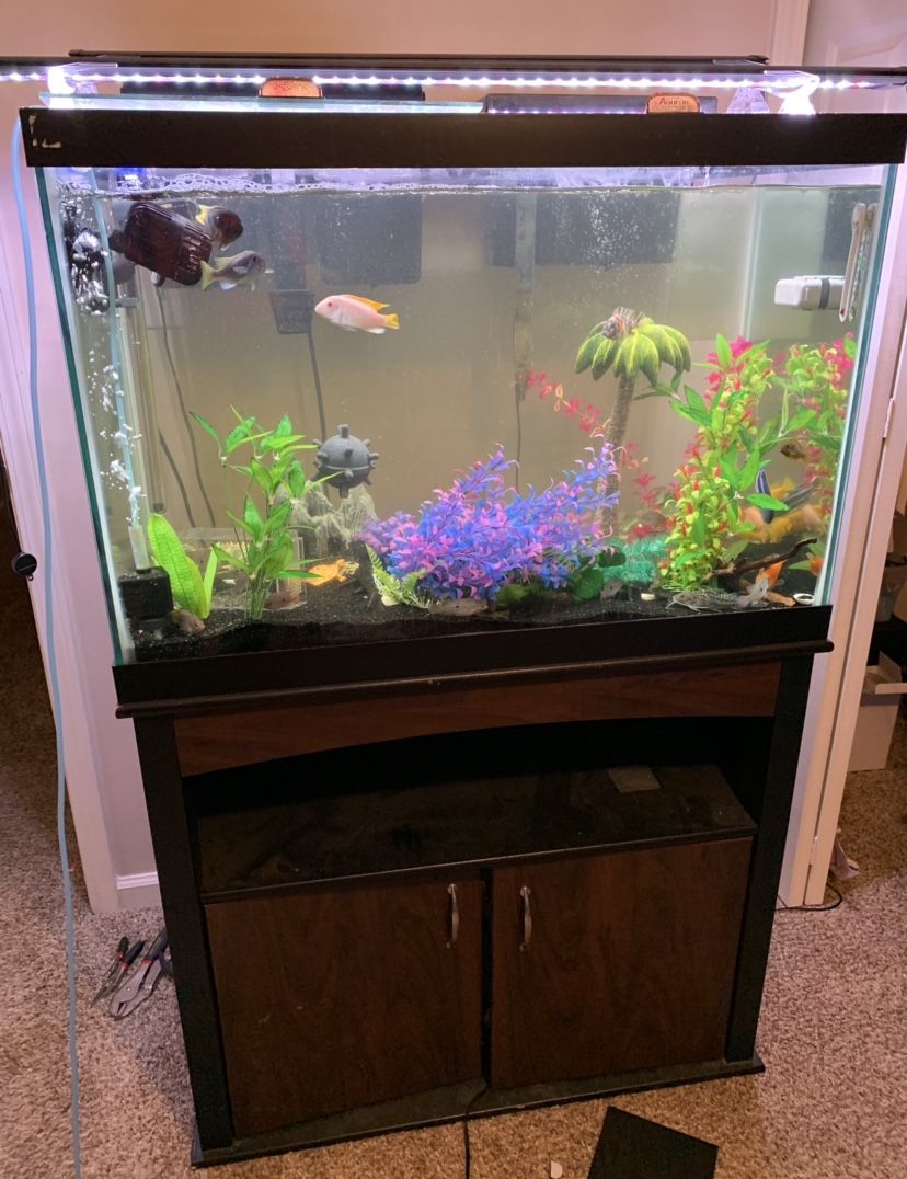 Fish Aquarium / 65 Gallon / Less than a year old