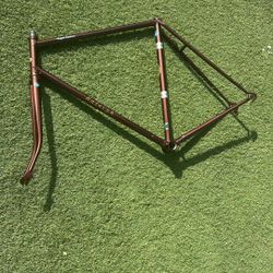 Raleigh Super Course Carlton Painted By Allan Wanta BEAUTIFUL BIKE