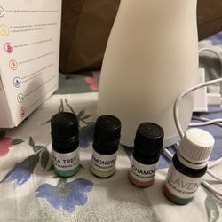 Led aromatherapy humidifier with diffuser