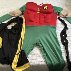 Robin Costume
