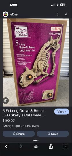 Home Accents Holiday 5 Ft LED Skelly's Cat