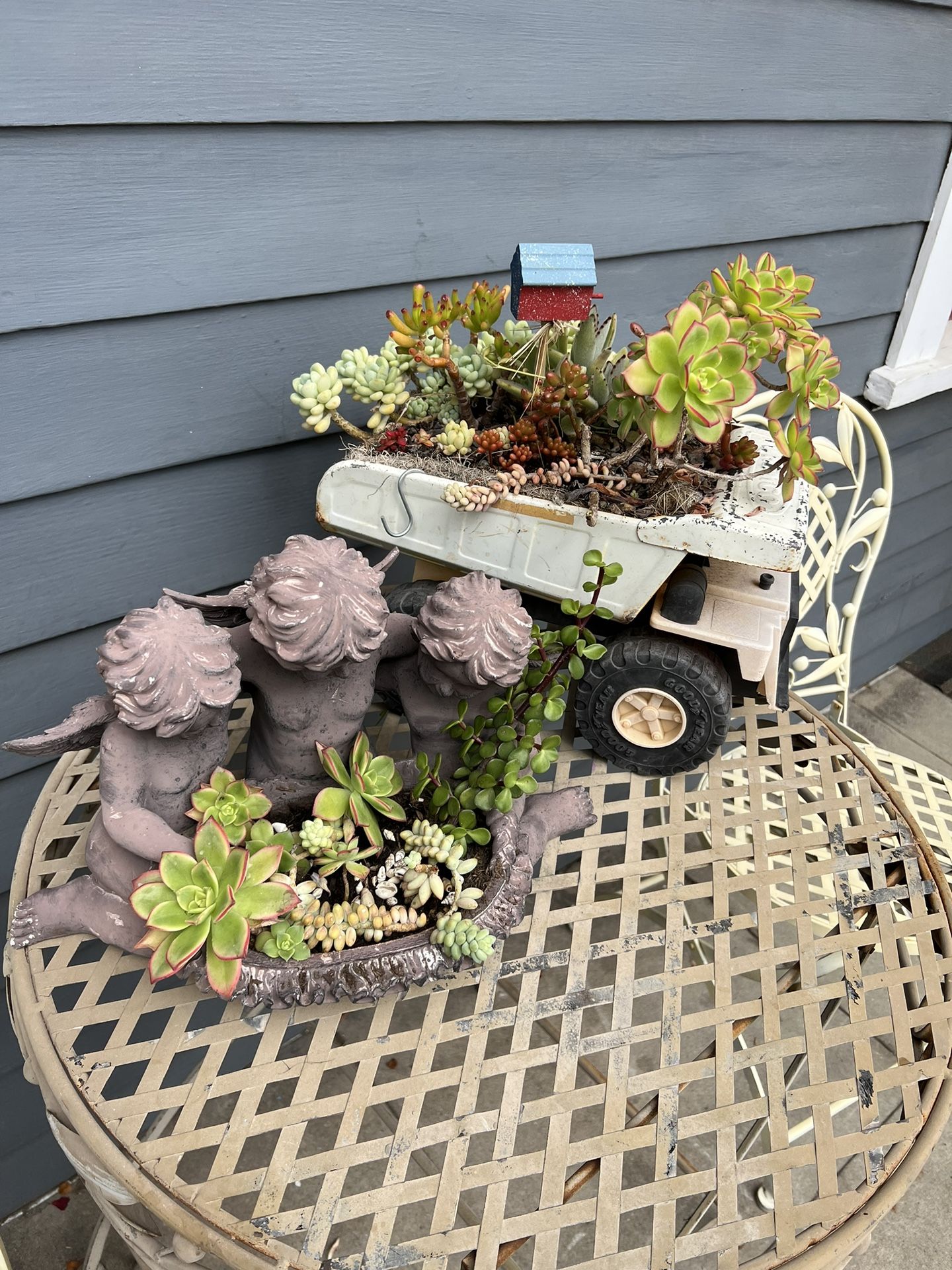 Mother’s Day Plants