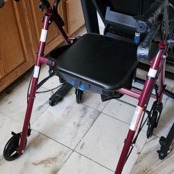 Portable Commode And Medline Walker