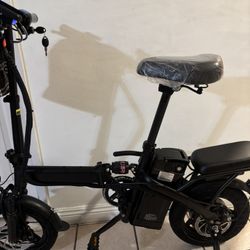 Electric Bike 