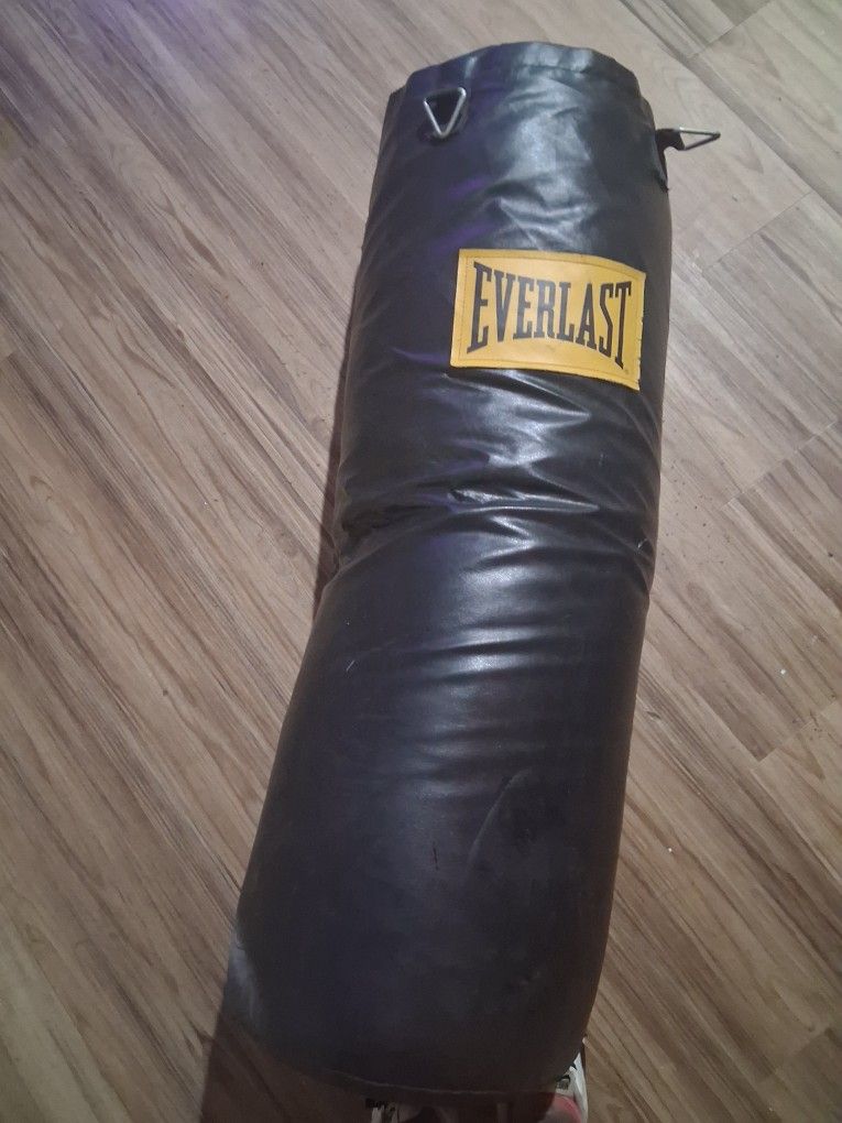 Everlast Punching Bag