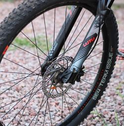 2019 Marin Bobcat Trail 4 for Sale in Phoenix AZ OfferUp