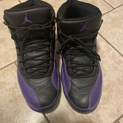 Jordan 12 Black and Purple size 10.5