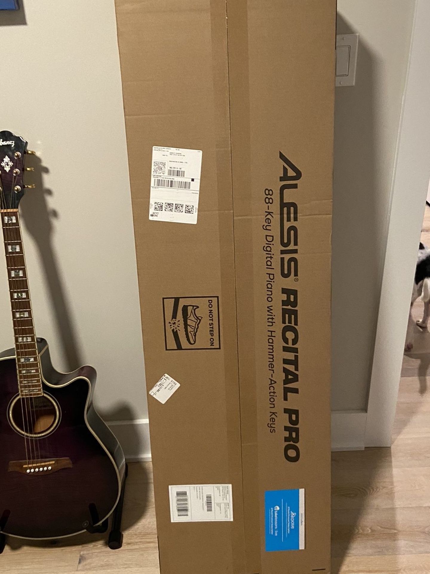 Alesis Recital Pro - Brand New In Box