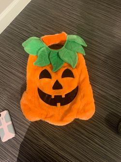 Dog Halloween Costumes. Size Large Perfect Condition