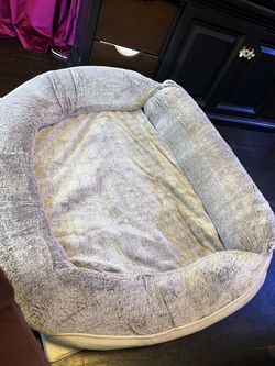 Big dog bed