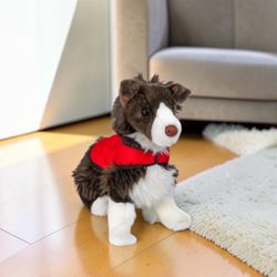 Patrol Pup Gravy Border Collie Plush Dog Winter Park Limited Edition New IN HAND