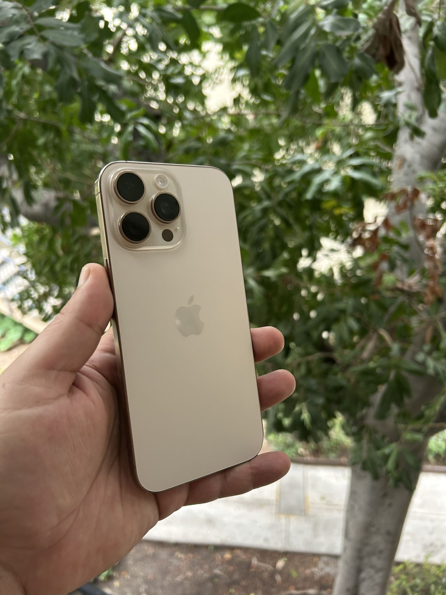 iPhone 16 Pro Max 256 Gb Spectrum