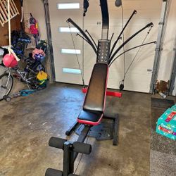 Bowflex Pr1000