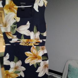 Like NEW Enfocus Studio Dress Size 10 Floral