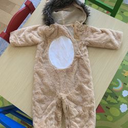 Baby Lion Costume Pottery Barn 