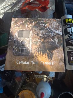 Cellular trail camera