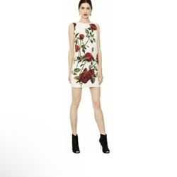 Dolce&Gabbana Floral Rose Dress 🥀